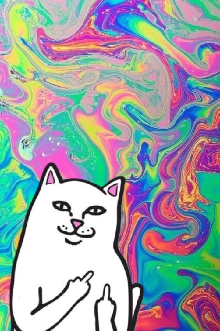 Ripndip Fondo WallpaperUse