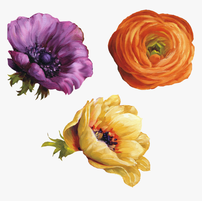 carta da parati a fiori,fiore,petalo,arancia,ranuncolo persiano,viola