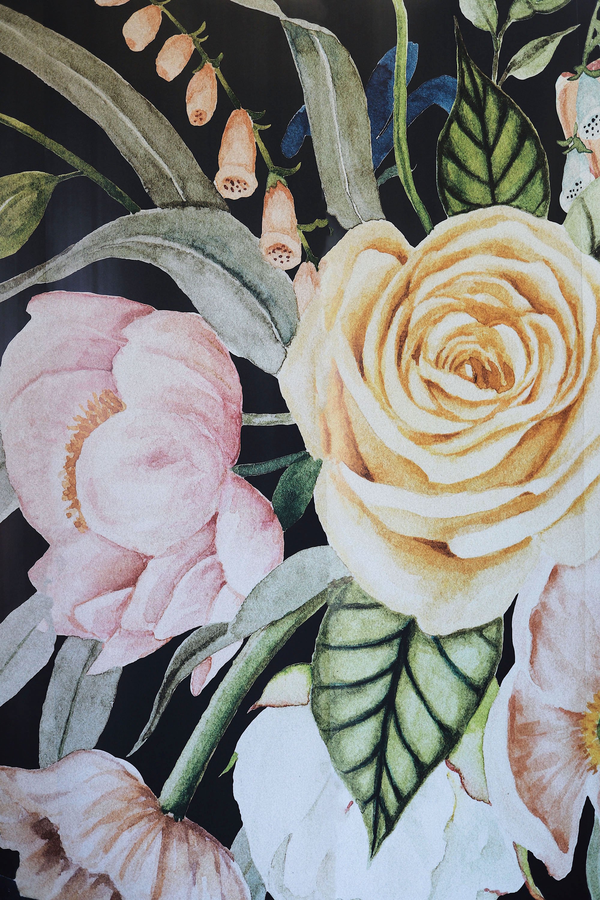 flower wallpaper,flower,garden roses,plant,pink,botany