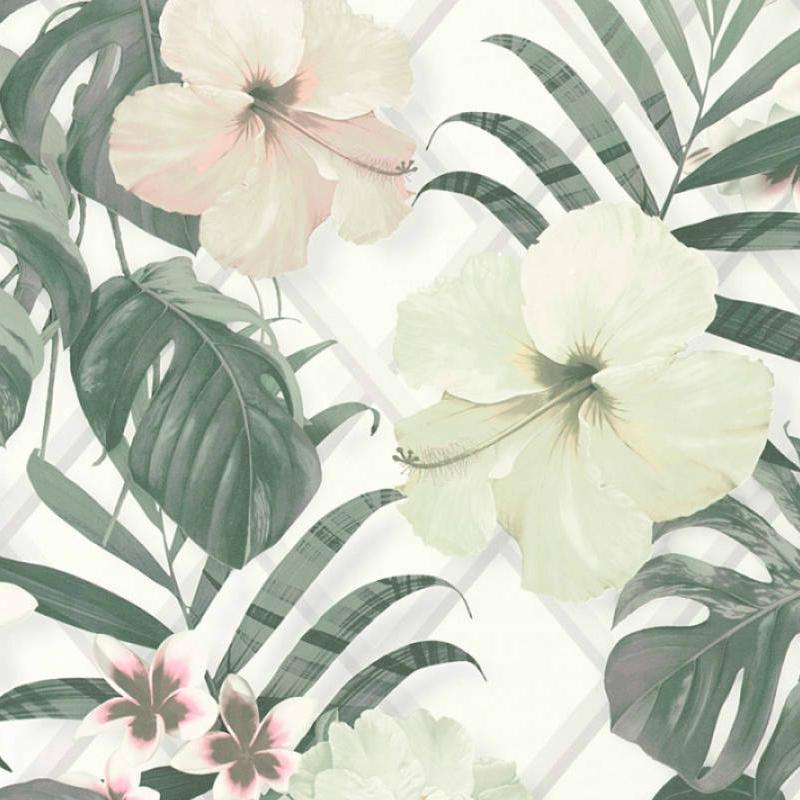 carta da parati pastello,fiore,pianta,ibisco hawaiano,petalo,pianta fiorita