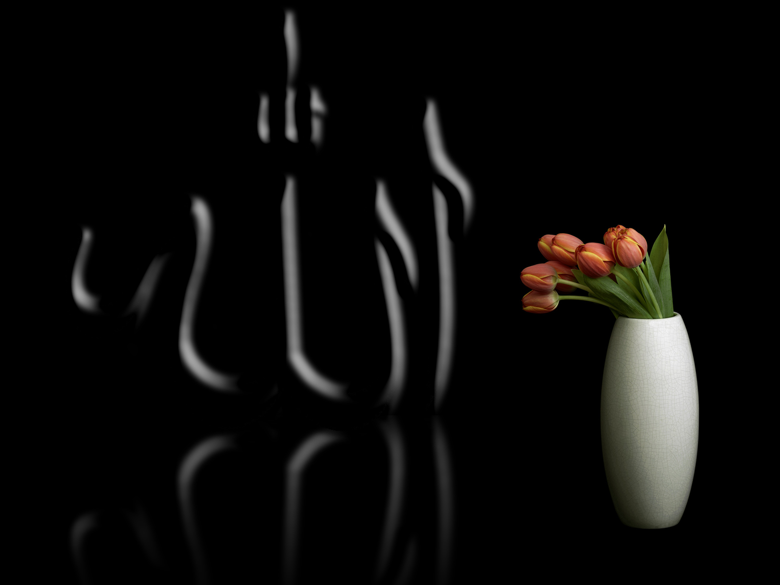 sfondi immagini allah,fotografia di still life,nero,pianta,fotografia,vaso