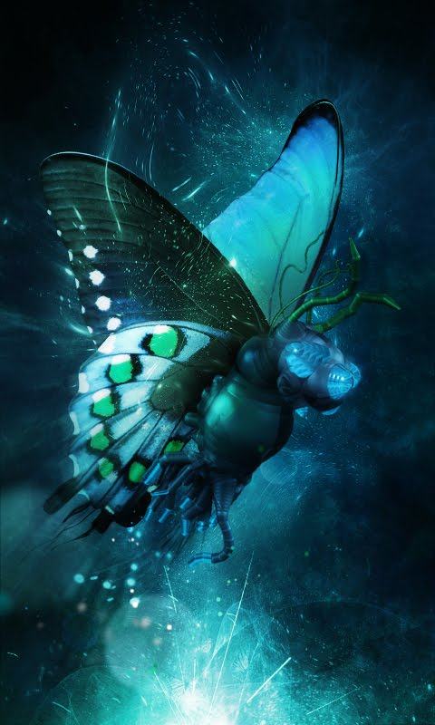 fond d'écran mobile à écran tactile hd,bleu,papillon,aqua,turquoise,insecte