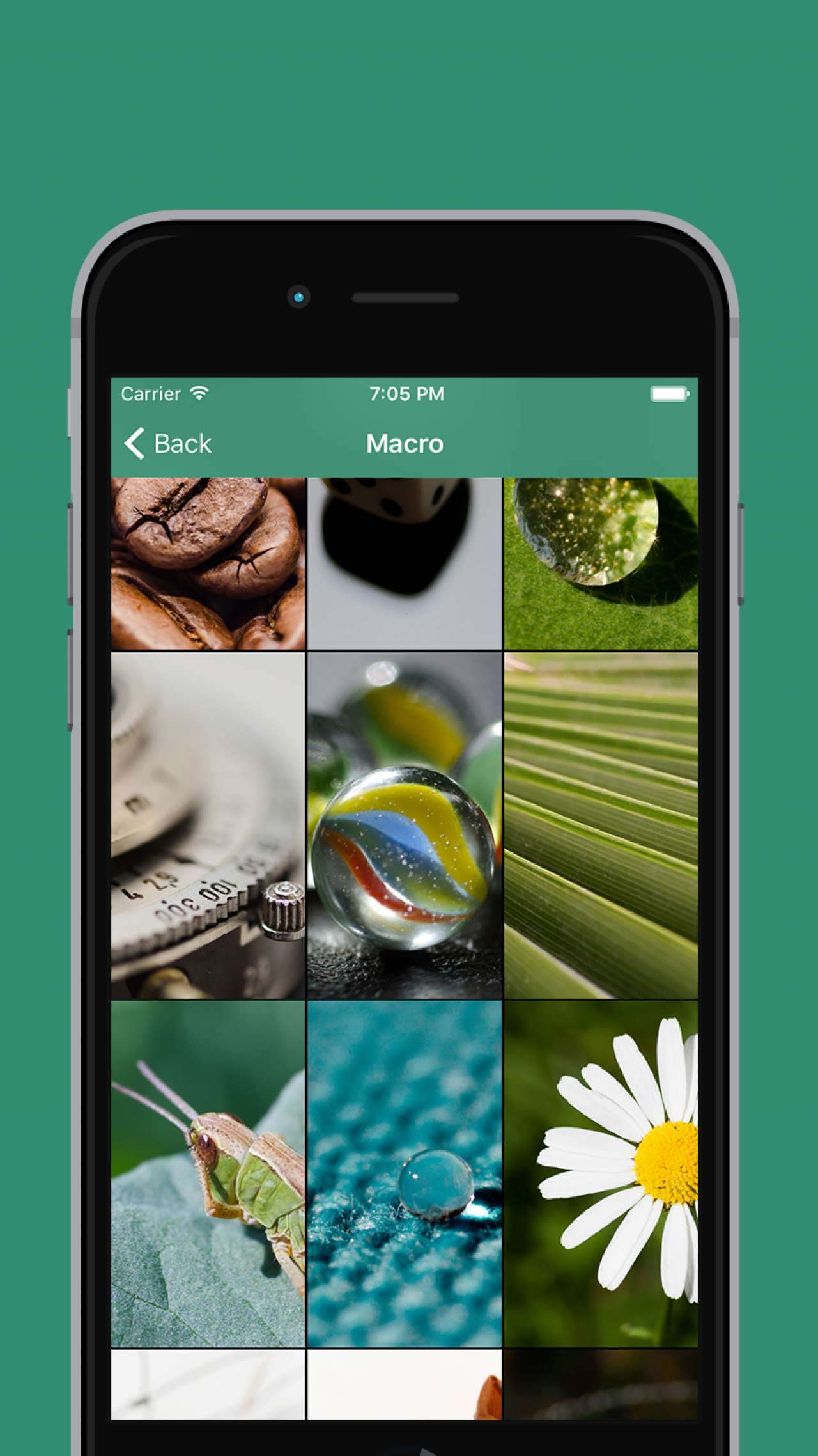 whatsapp live wallpaper,verde,immagine dello schermo,tecnologia,collage,erba