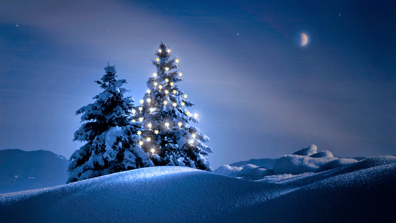 Christmas Trees At Night- WallpaperUse