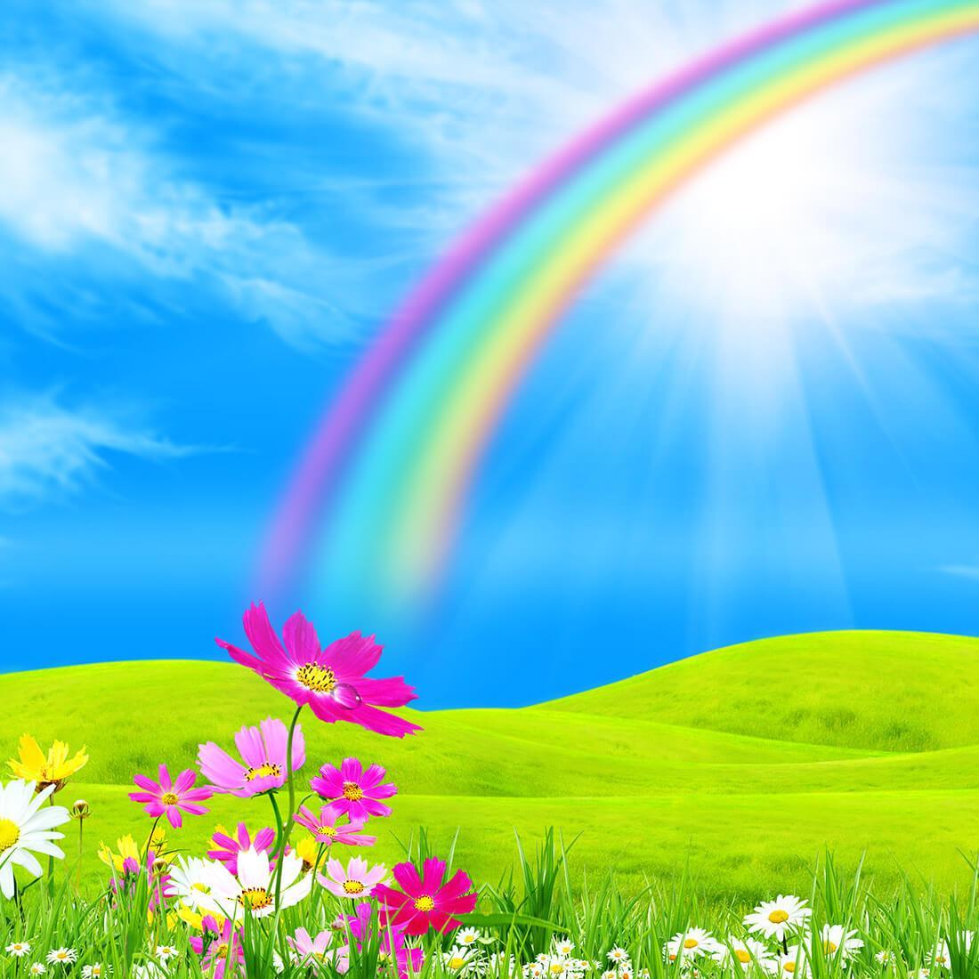 carta da parati pelangi,arcobaleno,cielo,paesaggio naturale,prateria,natura