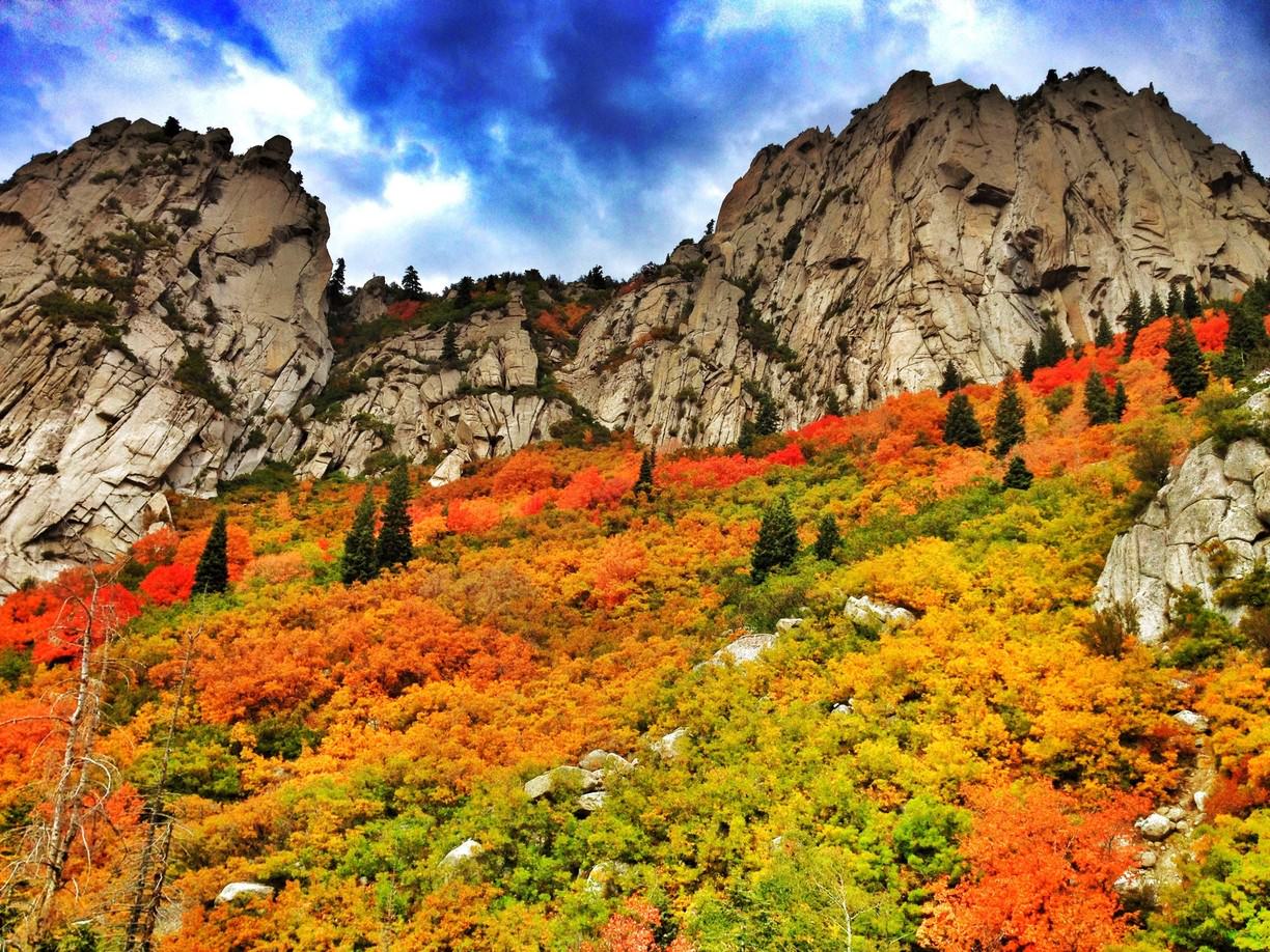 Bell Canyon Granite Trailhead, Granite, Utah - Outcrop- WallpaperUse