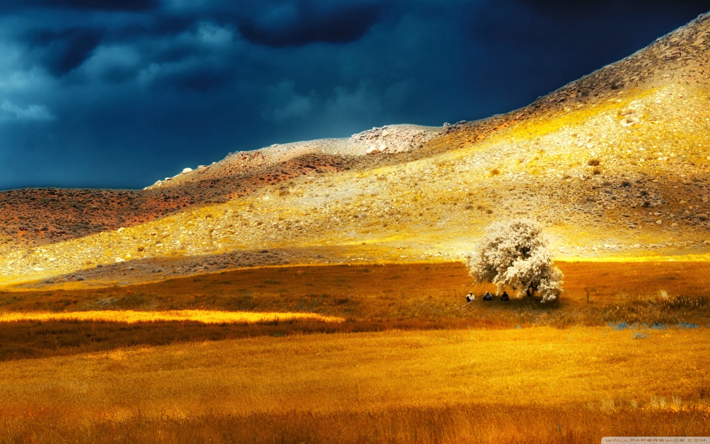 fondo de pantalla 1440x900,naturaleza,cielo,amarillo,paisaje natural,paisaje