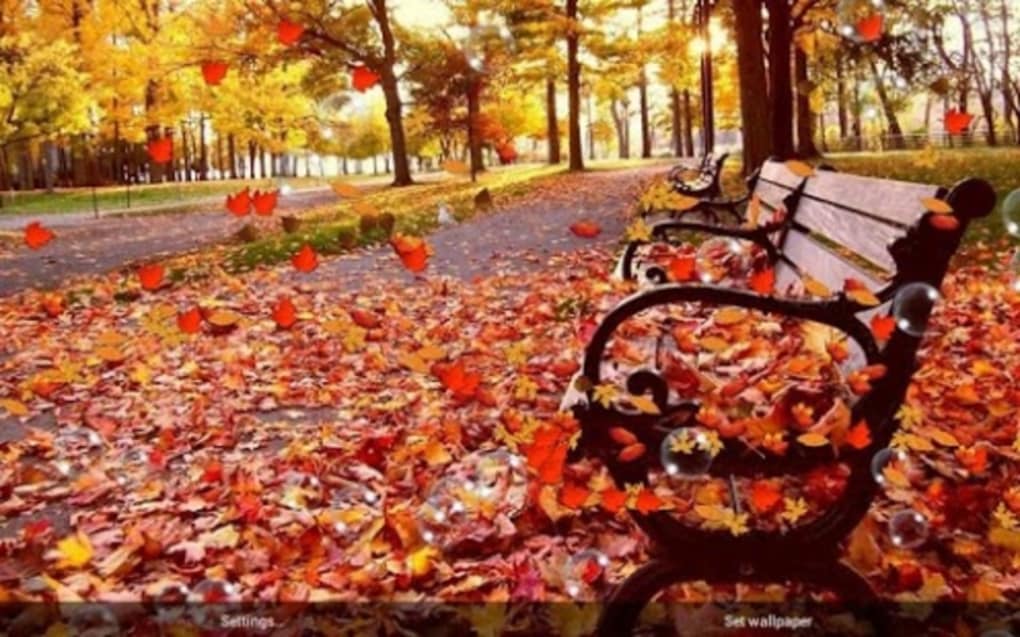 Autumn Live Wallpaper Free - Autumn Leaves Falling Hd- WallpaperUse