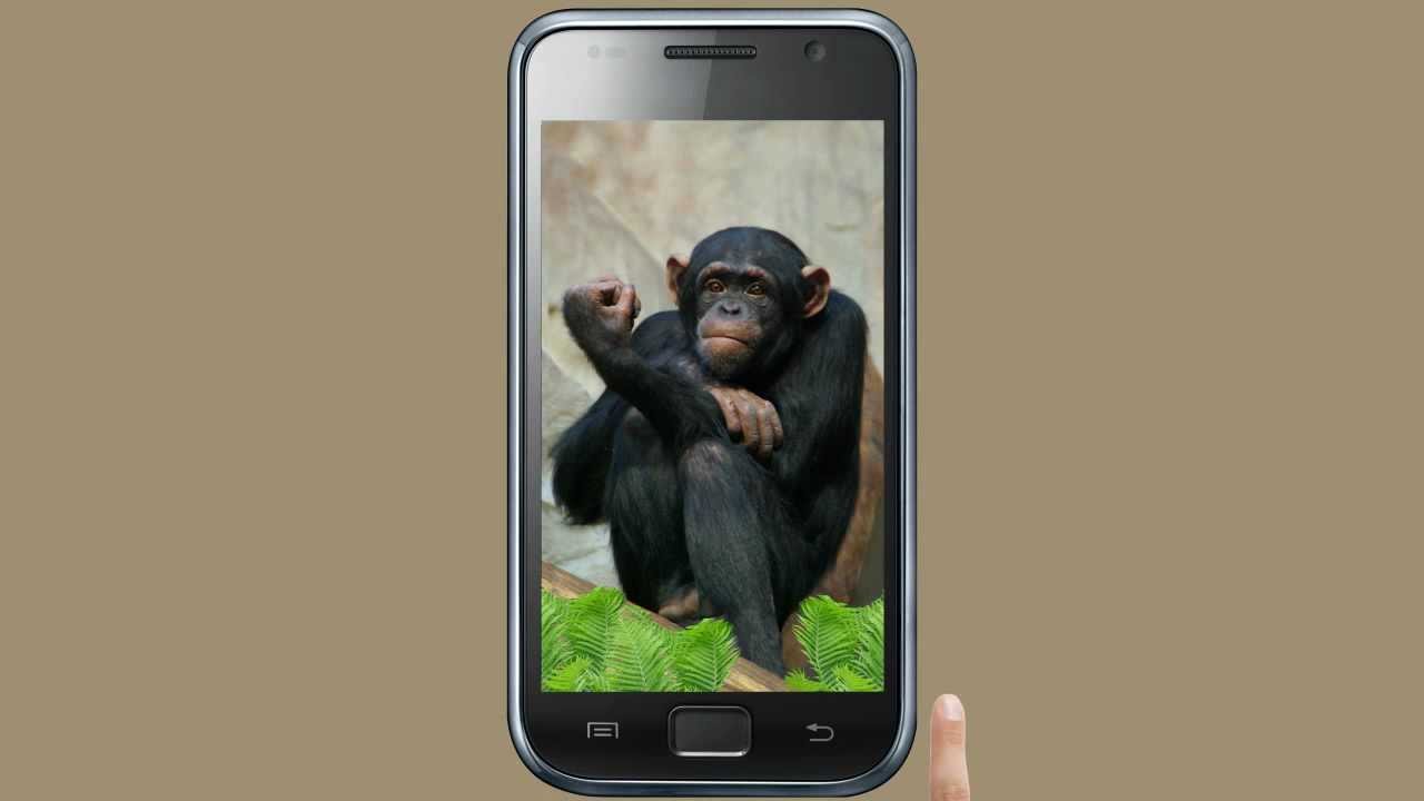 divertente live wallpaper,cellulare,dispositivo di comunicazione,dispositivo di comunicazione portatile,primate,smartphone