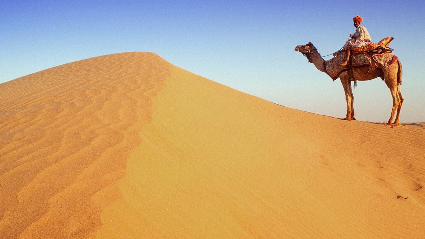 tapetenbilder foto,wüste,kamel,sand,erg,sahara