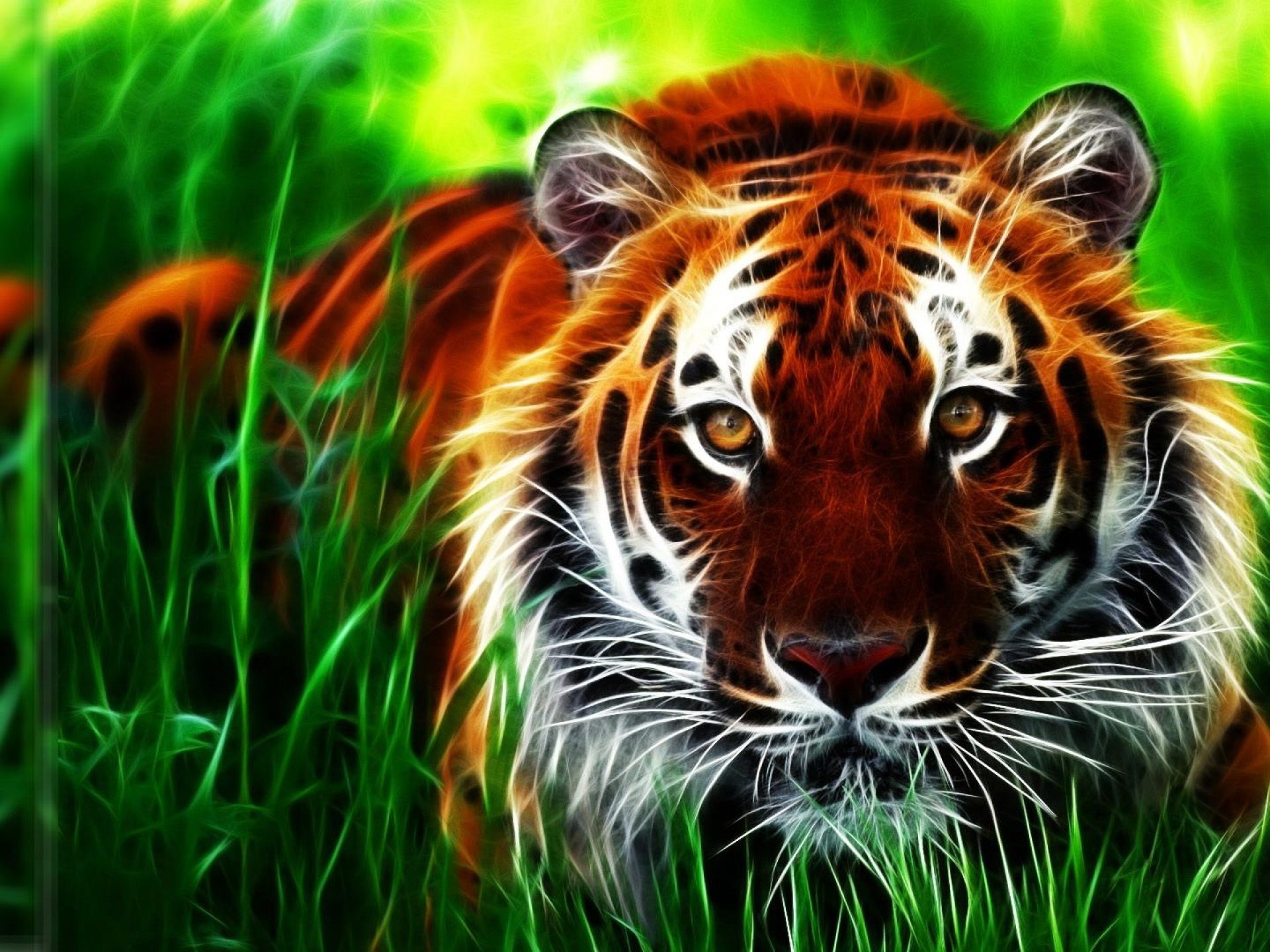 high hd wallpaper,tiger,wildlife,bengal tiger,terrestrial animal,mammal