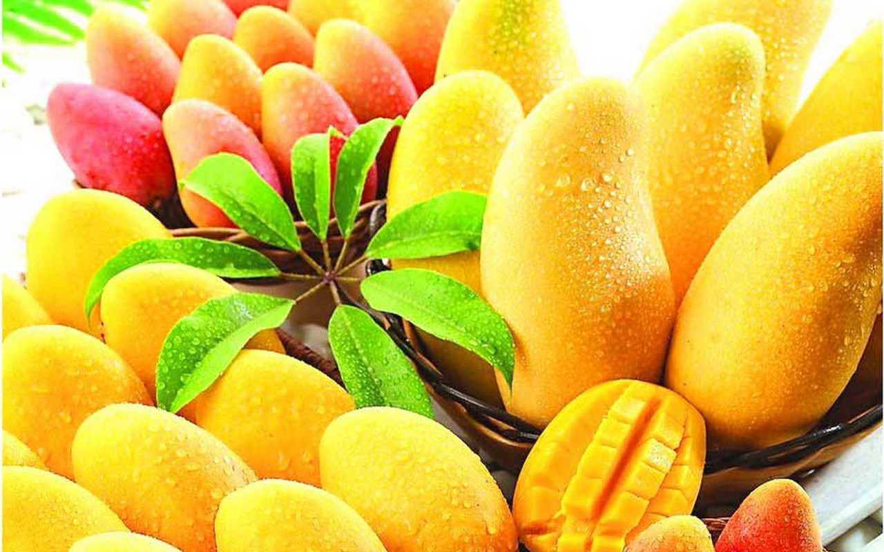 mango壁紙,自然食品,フルーツ,食物,マンゴー,工場
