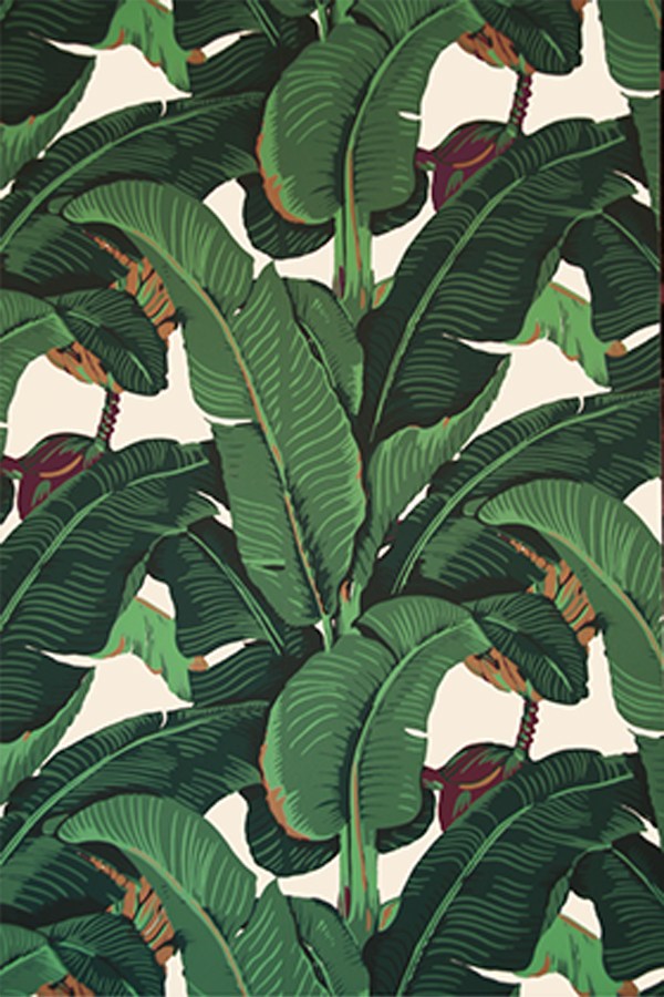 Tropical Wallpaper, Beverly Hills Hotel, Banana Leaf, - Beverly Hills