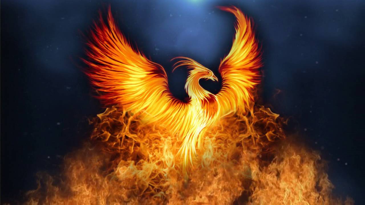 fondo de pantalla de phoenix,mitología,fuego,criatura sobrenatural,ilustración,ala