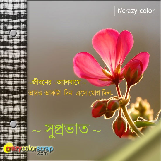 bangla kobita love download