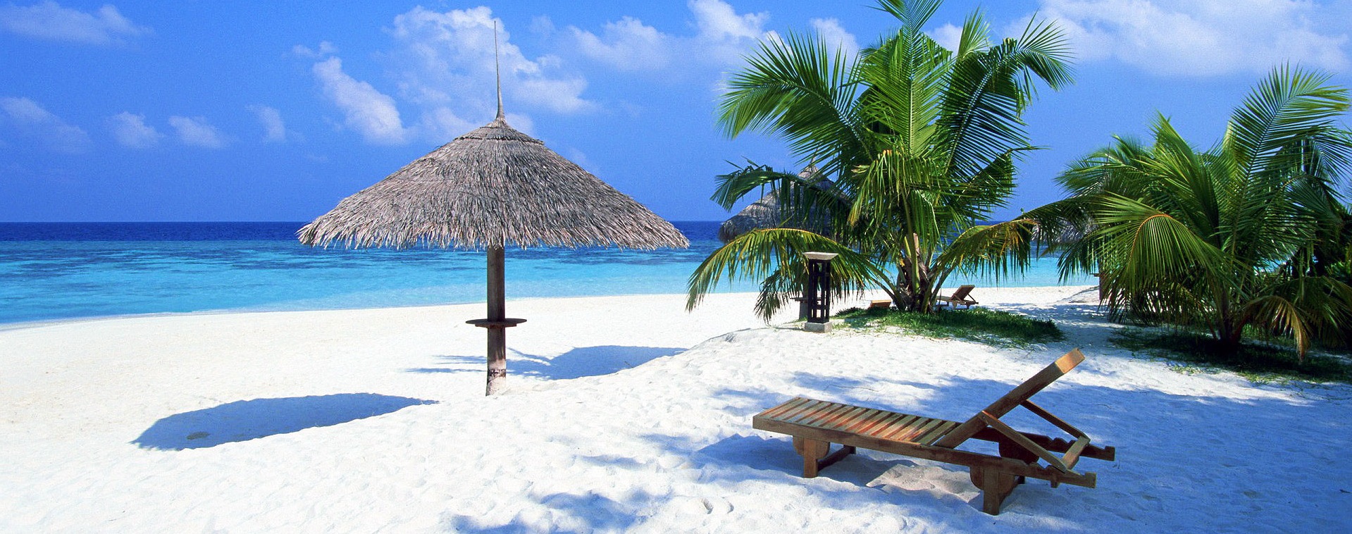 ovest sfondo hd,vacanza,caraibico,palma,mare,spiaggia