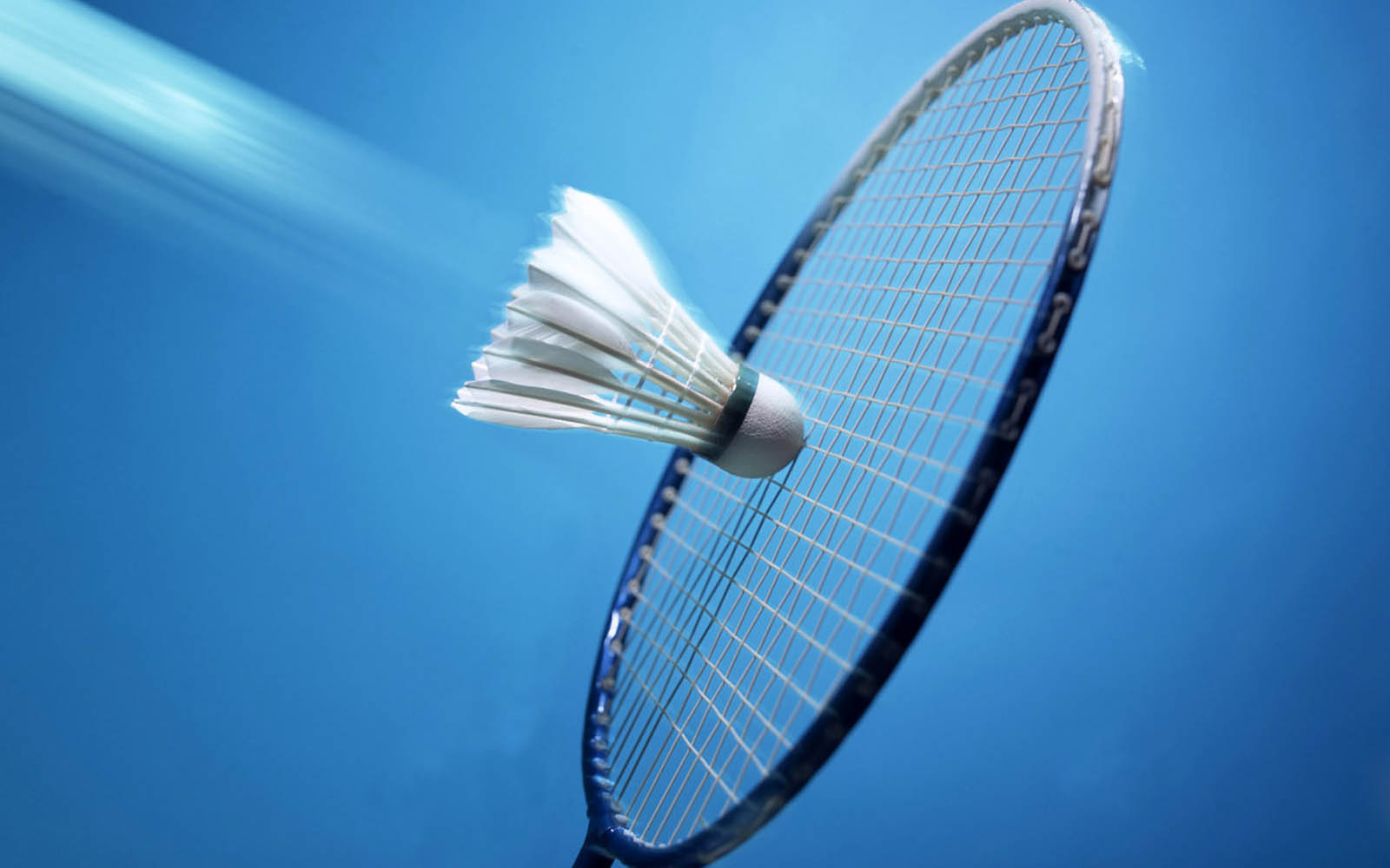 papier peint bulutangkis,bleu,sport de raquette,badminton,raquette,raquette de tennis