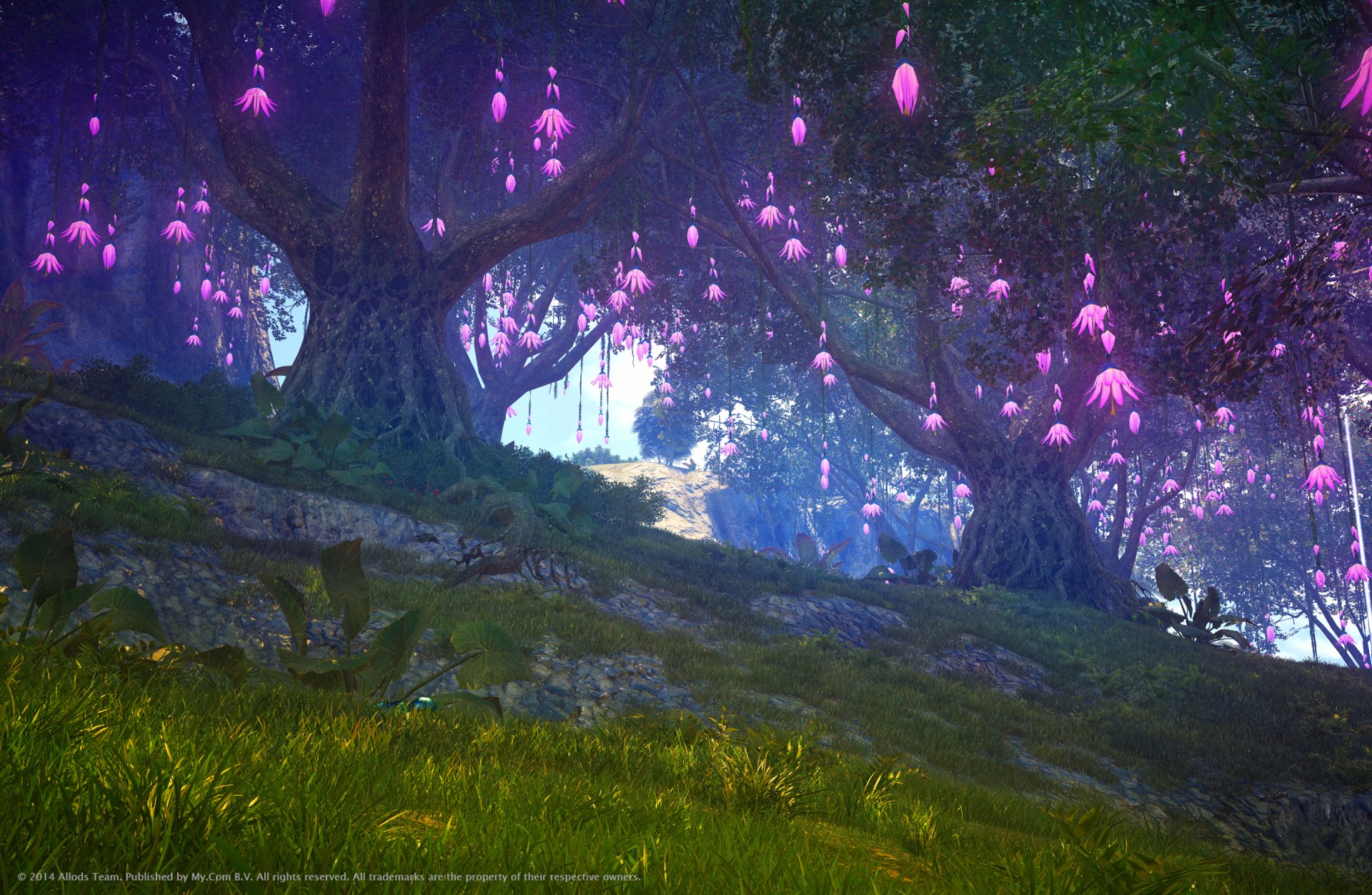 fondo de pantalla de skyforge,naturaleza,paisaje natural,árbol,púrpura,verde