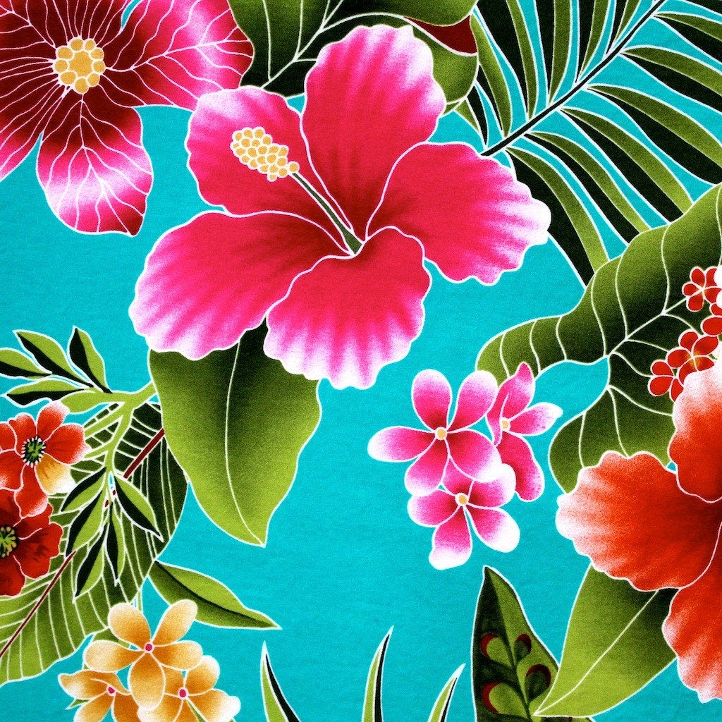 꽃 테마 벽지,꽃,하와이 히비스커스,프르 메리아,꽃잎,식물