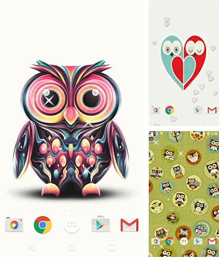 aplicativo de wallpaper,búho,pájaro,ave de rapiña,dibujos animados,rosado