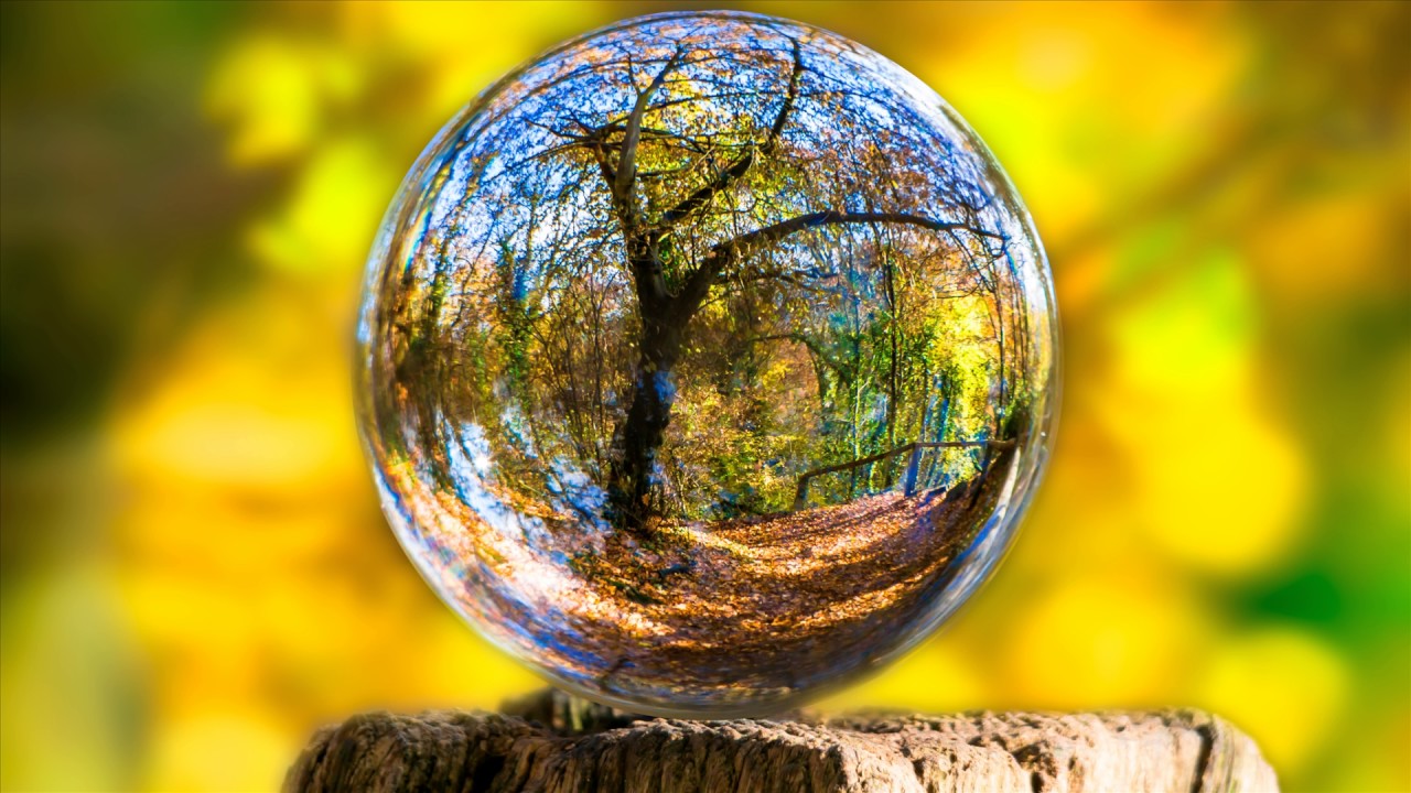 fondo de pantalla de estrés,naturaleza,esfera,reflexión,árbol,mundo