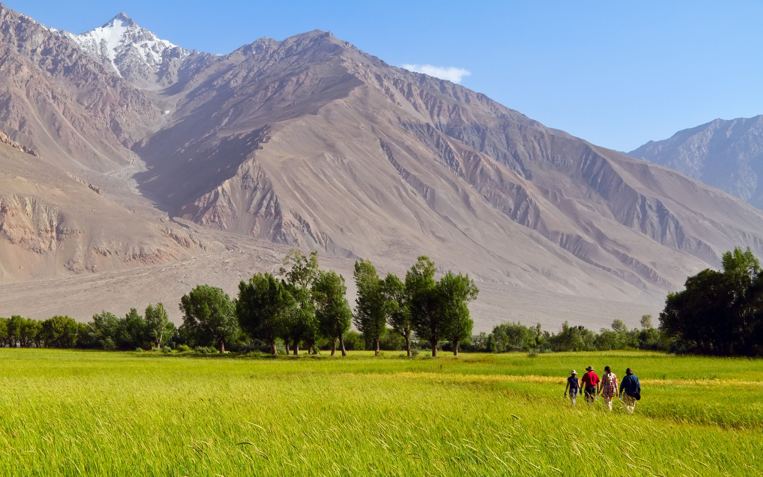 afghanische tapete,wiese,natürliche landschaft,gebirge,berg,einfach