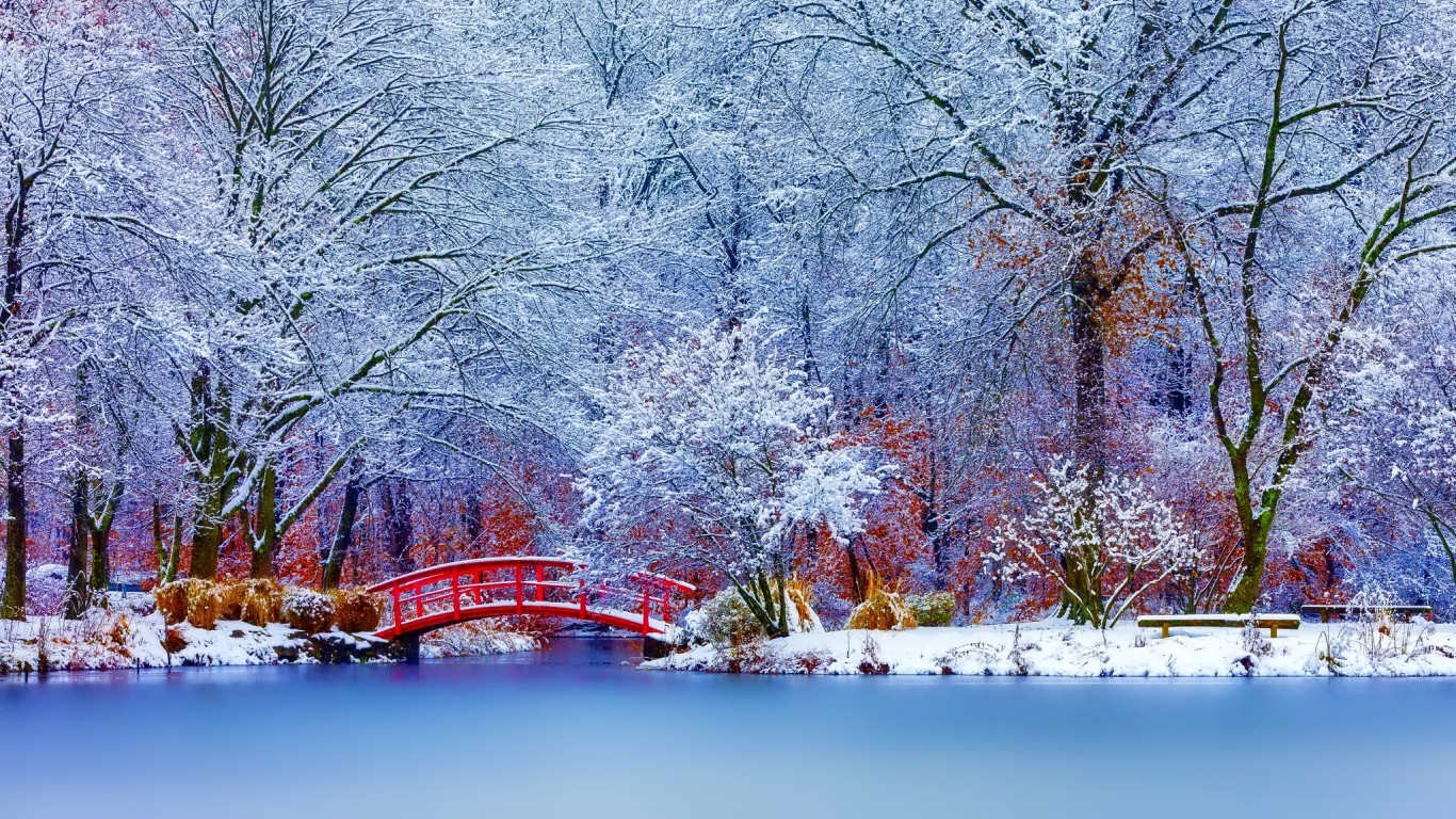 fond d'écran hiver,hiver,neige,la nature,paysage naturel,arbre