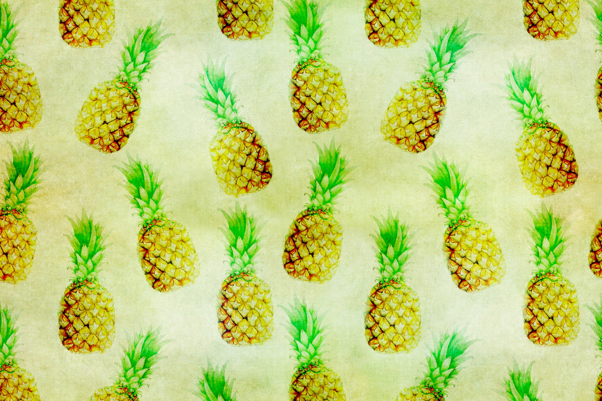 Pineapple Wallpaper Pineapple Ananas Plant Fruit Botany WallpaperUse