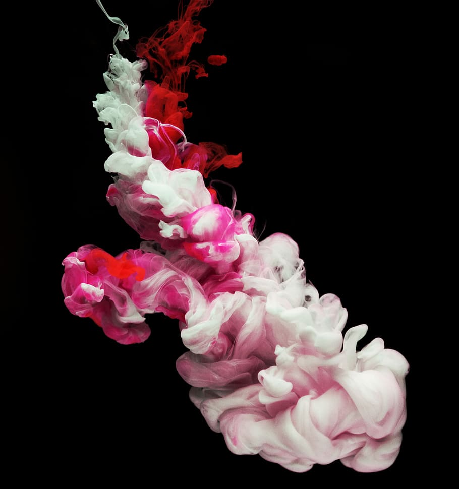 fond d'écran de fumée,rose,rouge,pétale,fleur,plante