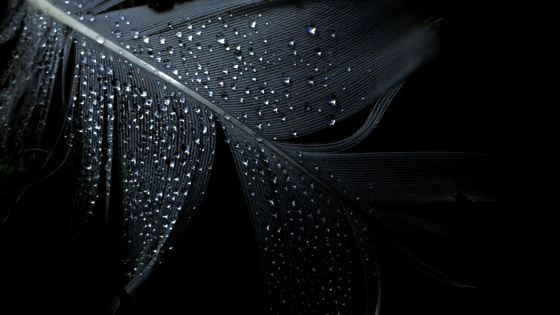 fondo de pantalla dunkel,negro,agua,en blanco y negro,humedad,fotografía monocroma