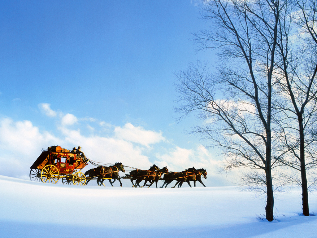 fondo de pantalla de fargo,nieve,invierno,manada,paisaje natural,cielo
