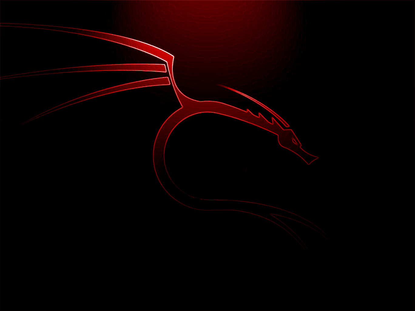 Фото kali linux