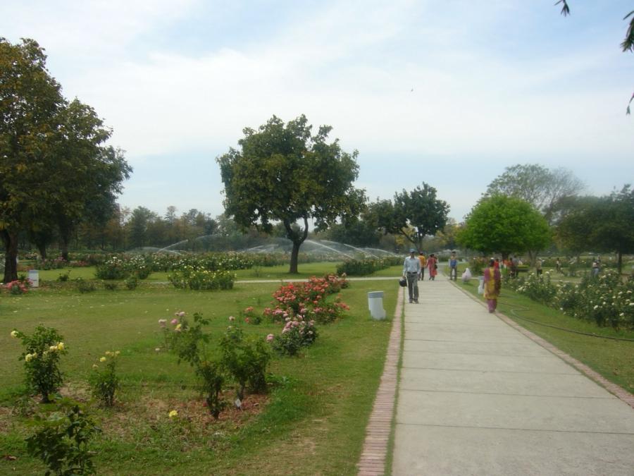 carta da parati chandigarh,paesaggio naturale,lotto di terra,albero,parco,area rurale