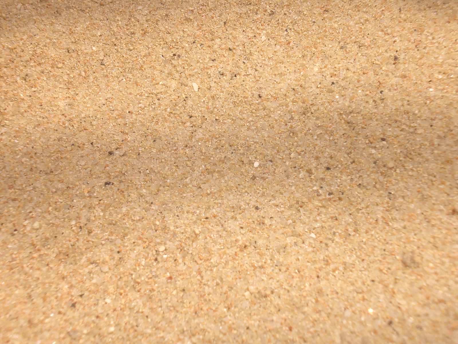 carta da parati sabbia hd,marrone,beige,sabbia,pavimentazione,pavimento