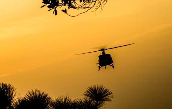 papel pintado siluet,helicóptero,rotor de helicóptero,cielo,amarillo,aeronave