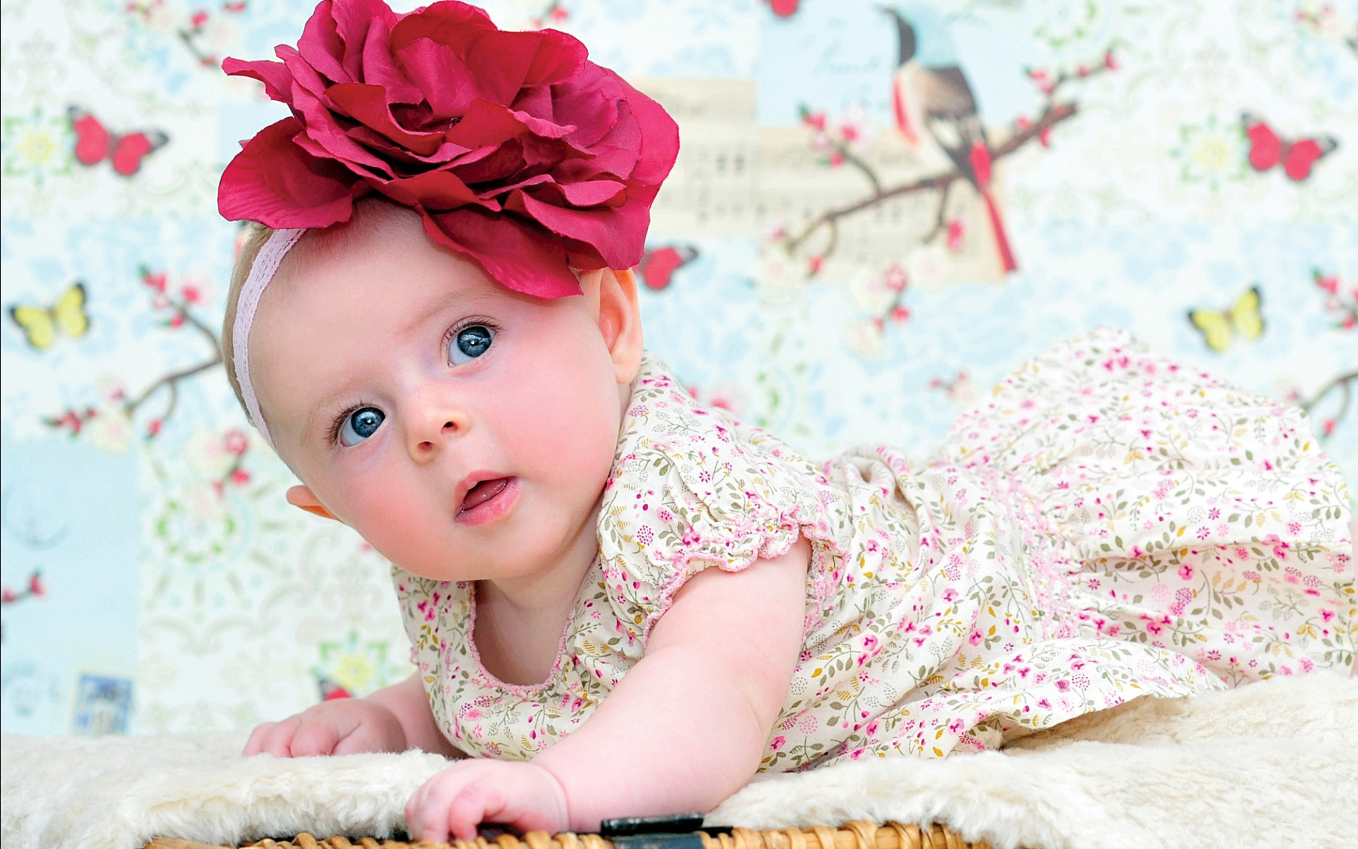 かわいい女の子の赤ちゃんの壁紙は引用符で非常にかわいい,子,ピンク,写真,赤ちゃん,幼児