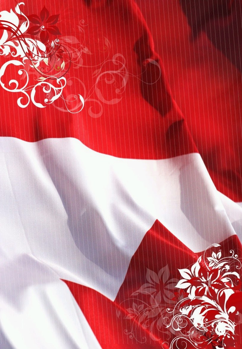 tapete bendera indonesien,rot,textil 