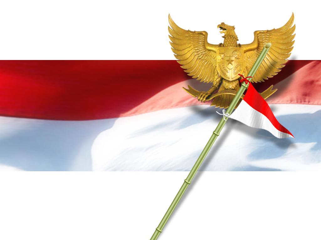 壁紙ベンデラインドネシア,国旗,羽