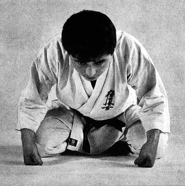 kyokushin tapete,judo,brasilianisches jiu jitsu,kampfkunst,hapkido,sitzung