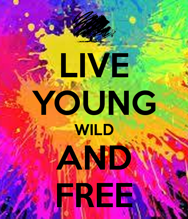 LIVE YOUNG LIVE FREE CAR STICKER - TURBO9