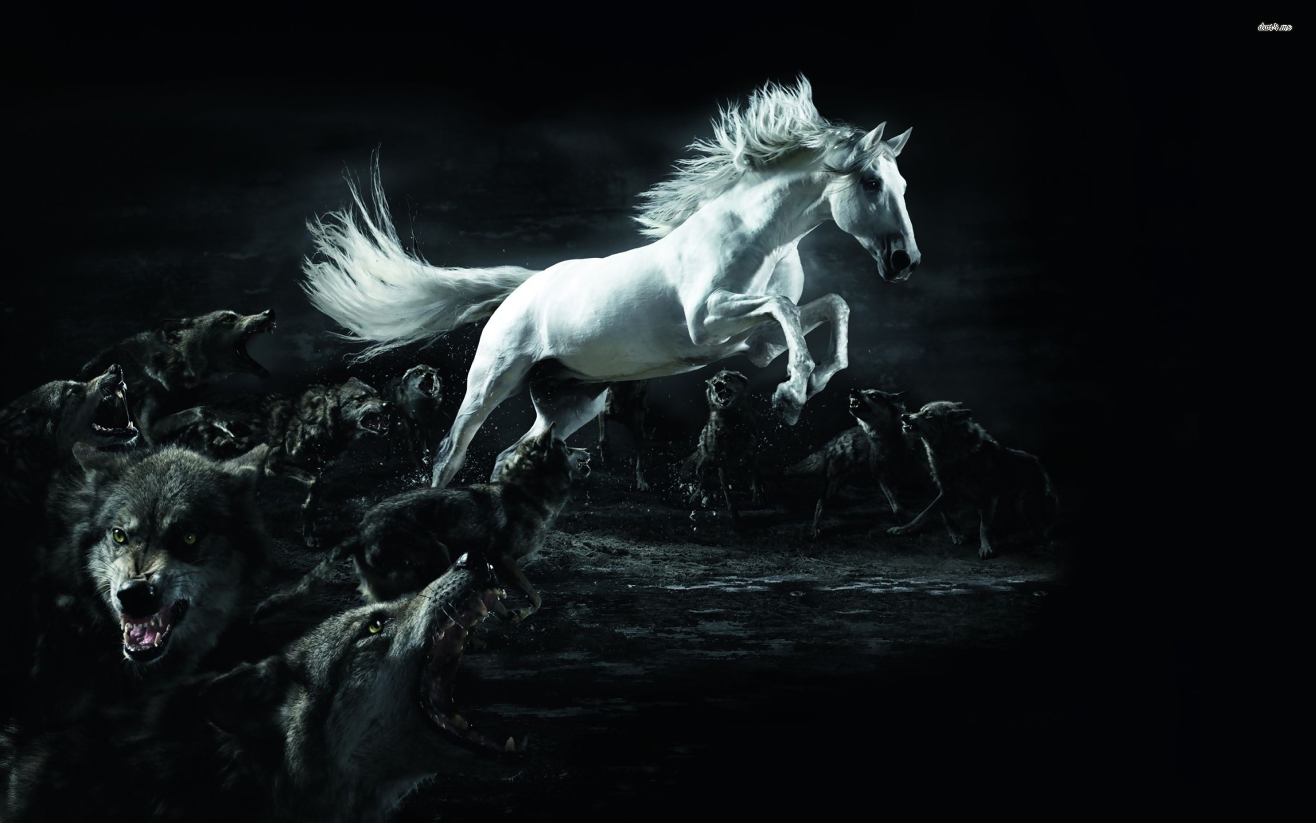 256k fondo de pantalla,caballo,oscuridad,en blanco y negro,personaje de ficción,melena