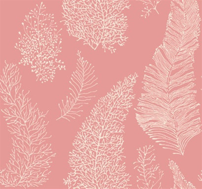 산호 핑크 벽지,분홍,본문,폰트,제비꽃,제도법