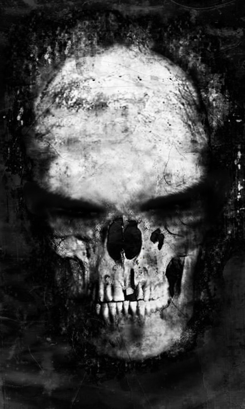 calaveras fond d'écran hd,crâne,os,monochrome,noir et blanc,photographie monochrome