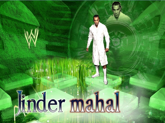 fond d'écran du logo yadav,vert,herbe,plante,jeux