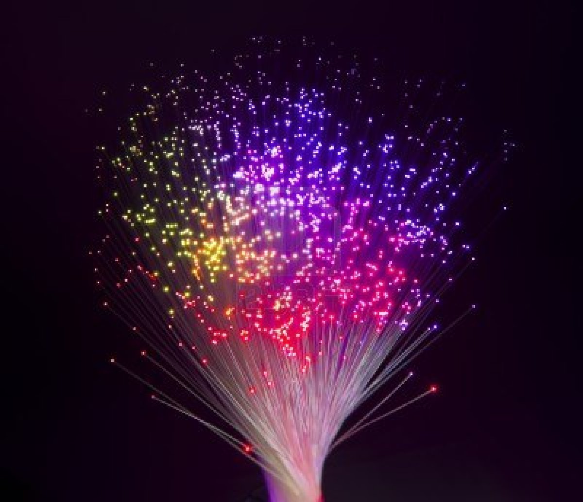 carta da parati in fibra ottica,fuochi d'artificio,viola,leggero,viola,notte