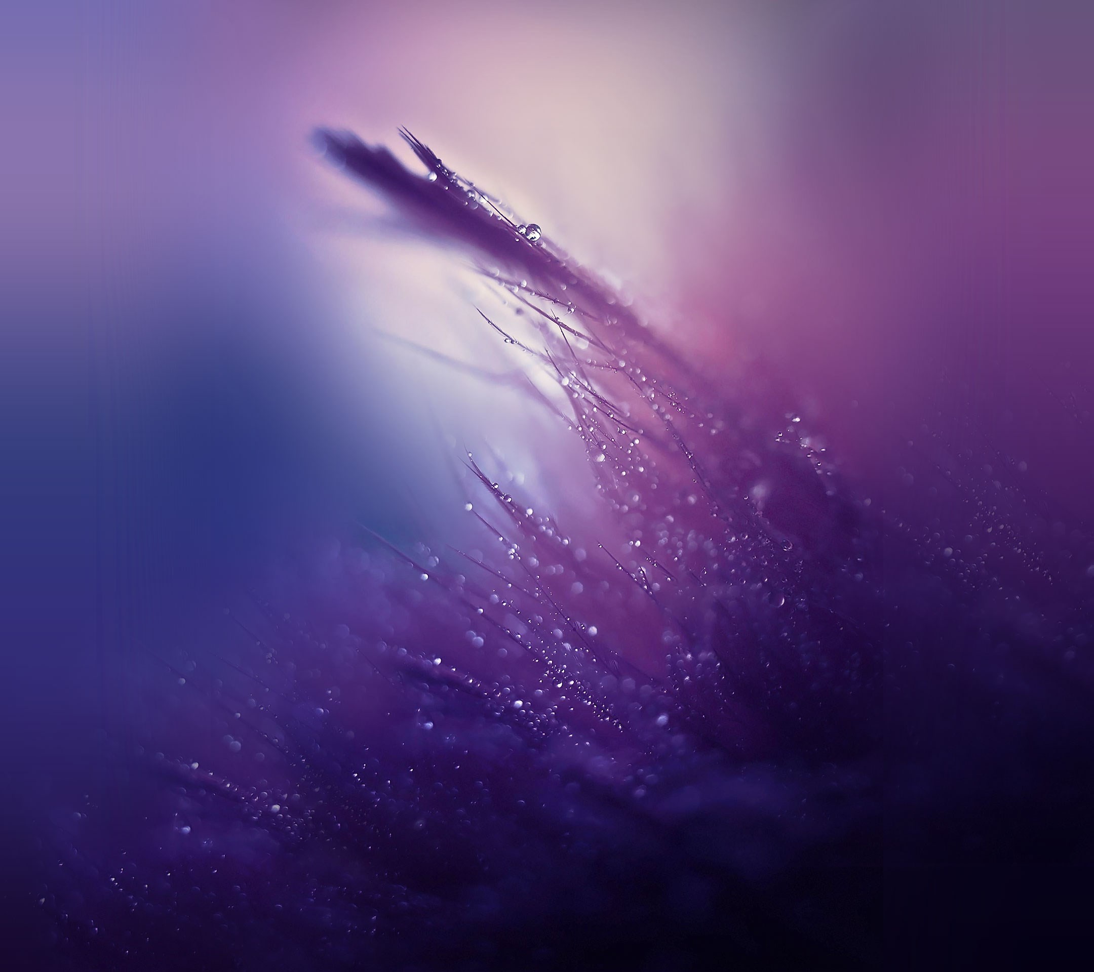 fond d'écran zte zmax pro,violet,l'eau,violet,ciel,bleu