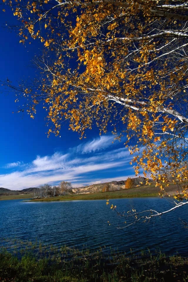 fondo de pantalla nachural full hd,paisaje natural,cielo,naturaleza,árbol,agua