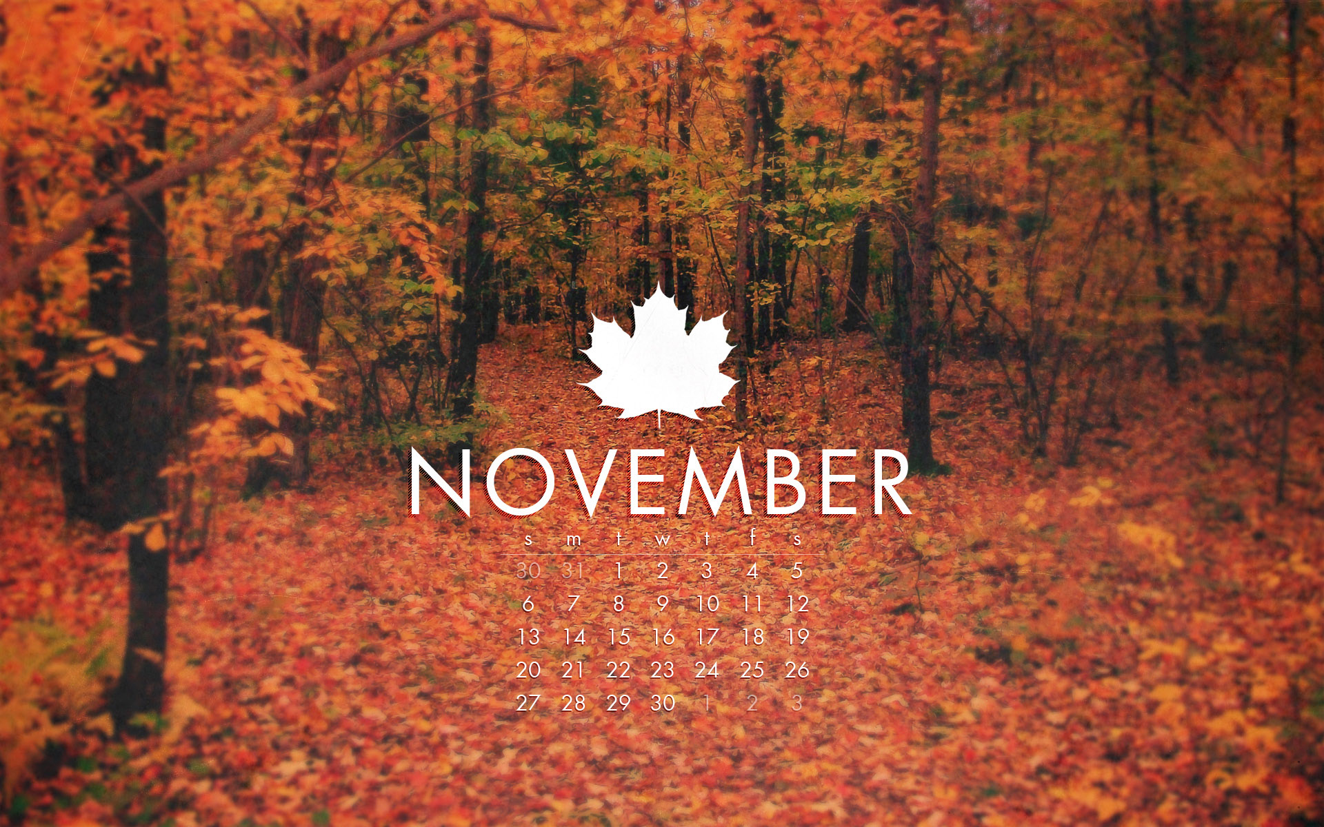 fond d'écran novembre hd,la nature,feuille,arbre,paysage naturel,l'automne