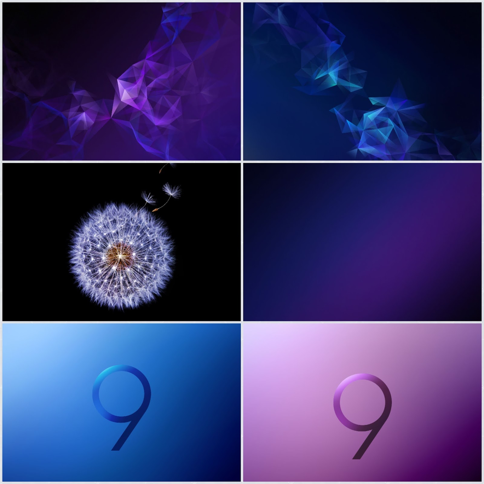 アプリカシの壁紙,バイオレット,紫の,光,エレクトリックブルー,フォント