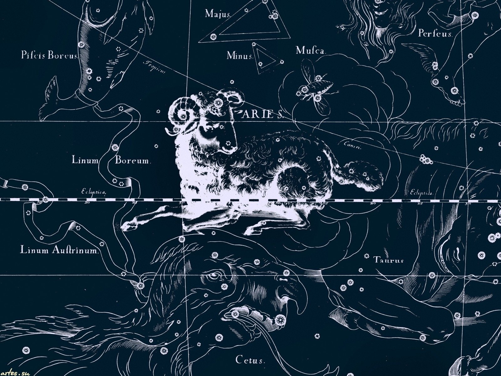 fondo de pantalla zodiak,pizarra,mapa,ilustración,modelo,mundo